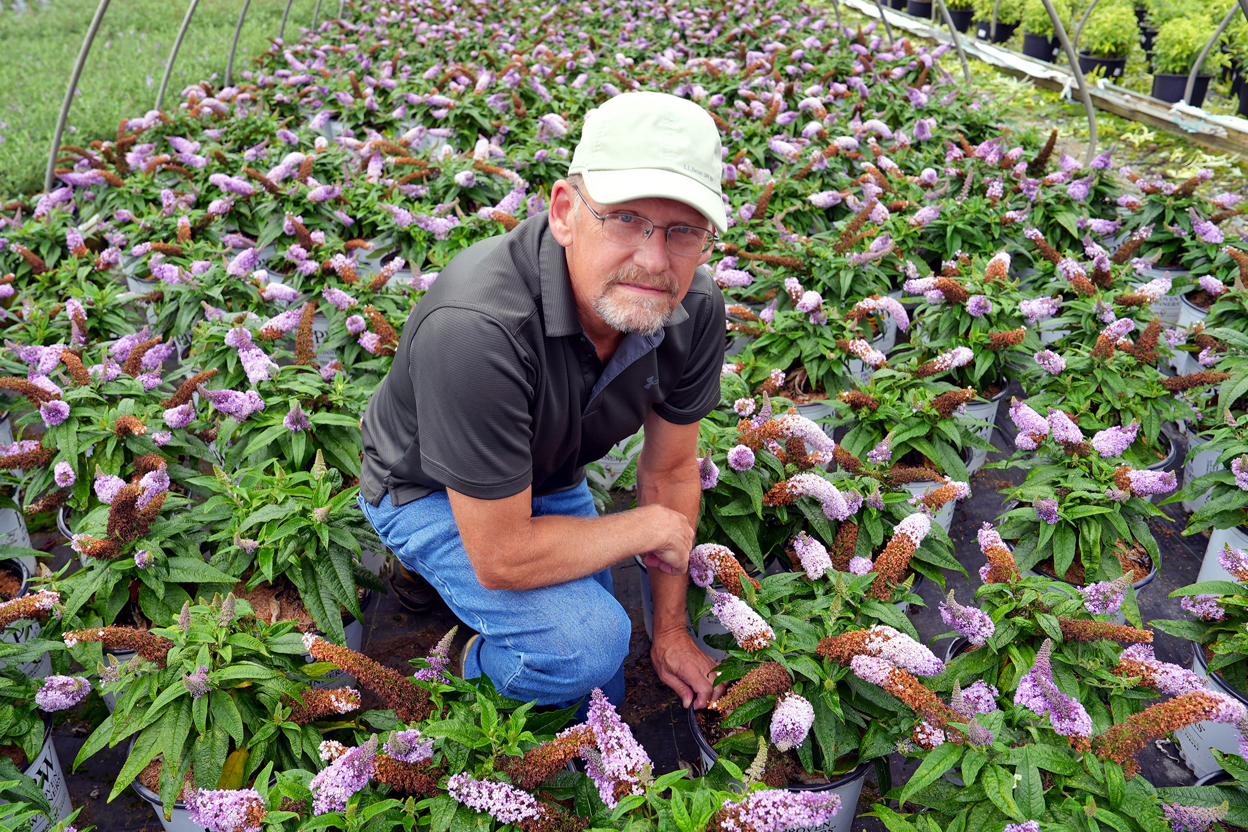 mark in a greenhouse full of purple flowers