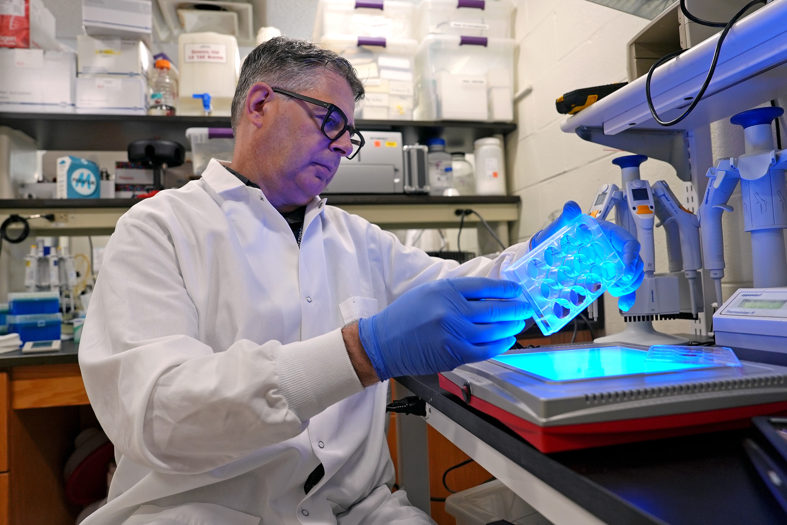 checking a sample in a lab