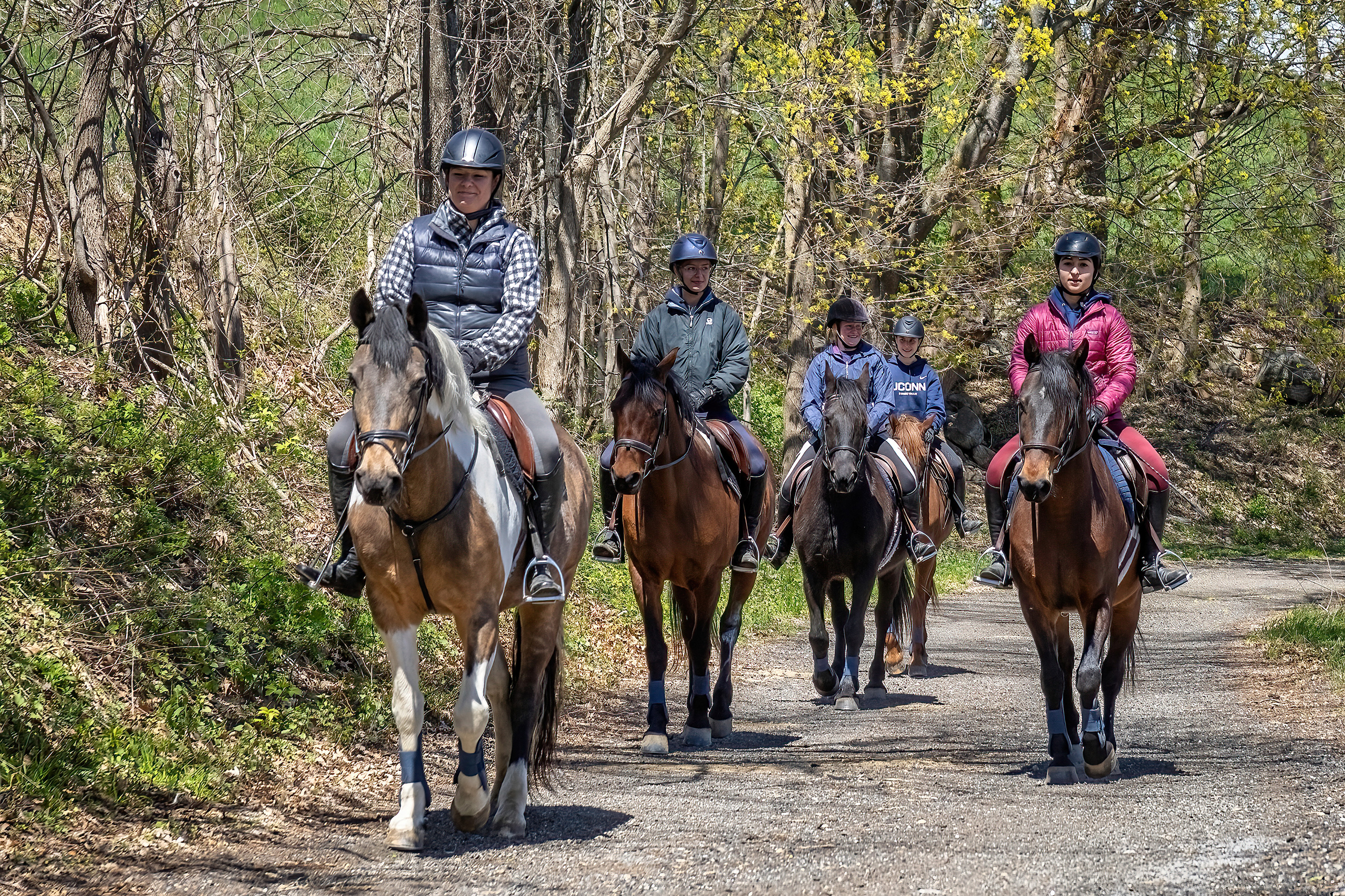 five people riding horeseback