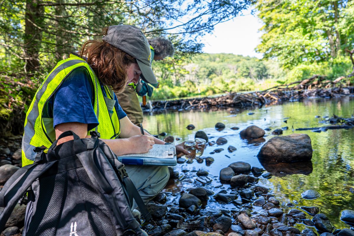 doing science at a river damned by a beaver